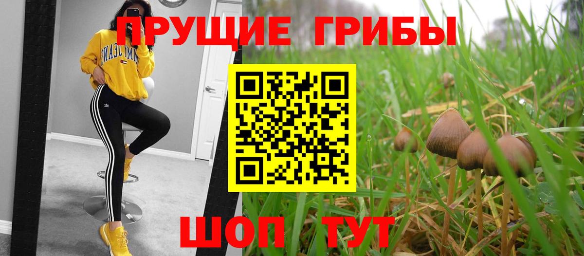 Янаул  Псилоцибиновые грибы Cubensis  Псилоцибиновые грибы прущие грибы  Вход с VPN 